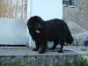 DSC02417.jpg