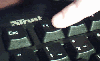 F1.gif